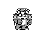 Dark Tortoise - Virtual Boy Wario Land