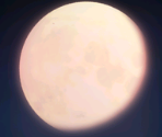 Menu Assets - Ookamikakushi