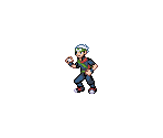 Brendan (Emerald) - Pokémon Customs