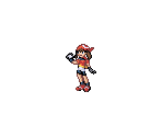 May - Pokémon Customs