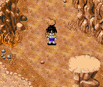 Canyon - Dragon Ball Z: The Legacy of Goku II