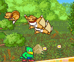 Musasabi / Giant Flying Squirrel - J.J. Squawkers