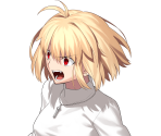 Arcueid Brunestud (12/23) - Tsukihime -A Piece of Blue Glass Moon-