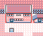 Fuchsia City - Pokémon Yellow