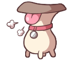 Ruffshroom - 100% Orange Juice