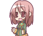 Sham - 100% Orange Juice