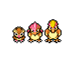 Pidgey, Pidgeotto, & Pidgeot - Pokémon Mystery Dungeon: Explorers of Sky