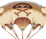 Parachute - Owlboy