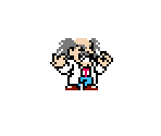Dr. Wily - Mega Man Customs