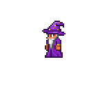 Wizard - Terraria