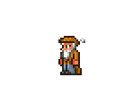 Merchant - Terraria