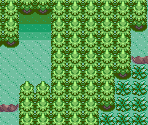 Darkness Forest - Pokémon Quartz (Hack)
