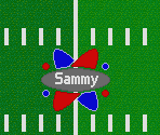 Field - Football Fury / Ultimate Football