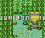 Black Jungle - Pokémon Quartz (Hack)