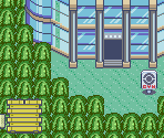 Black Village - Pokémon Quartz (Hack)