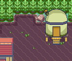 Muddy Island - Pokémon Quartz (Hack)