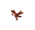 Bad Falcon - Knights of the Round