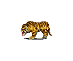 Mad Tiger - Knights of the Round