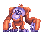 Orangutan - Tak: Mojo Mistake