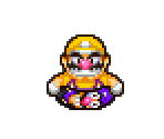 Floatie Bros. (Mario & Luigi: Superstar Saga-Style) - Wario Customs