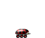 Lady Bugsy - Open Sonic
