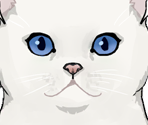 Cats - Genshin Impact