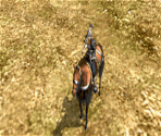 Siege - Romance of the Three Kingdoms VIII