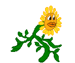 Sunflower - Torin's Passage