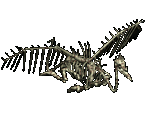 Dragonliche - Warlords Battlecry III