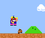 Super Wario Bros. - WarioWare, Inc.: Mega Microgames!