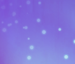 Pink - System UI (LeapPad Platinum)
