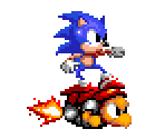 Boomer the Turtle - Sonic the Hedgehog Customs