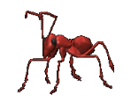 Ant - Warlords Battlecry III