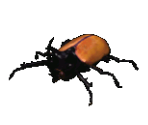 Scarab - Warlords Battlecry III