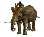 Elephant - Warlords Battlecry III
