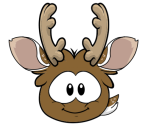 Reindeer Puffle - Club Penguin