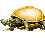 Tortoise - Dyna Gear