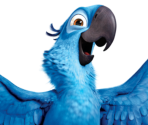 Character Selection - Rio