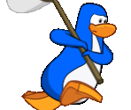 Player - Club Penguin