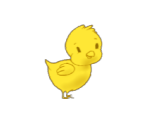 Chick - Candy Land