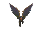 Harpy - The Elder Scrolls II: Daggerfall