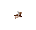 HorseFly Morph - Dr. Muto