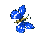 Sprites - Microsoft Entertainment Pack The Puzzle Collection