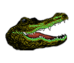 Alligator - Angry Video Game Nerd Adventures II: ASSimilation