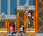 Studio Secret Area - Animaniacs
