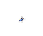 Bird - Celeste