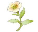 Item Icons - Atelier Sophie 2: The Alchemist of the Mysterious Dream