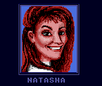 Inter-Level Screens - Road Rash