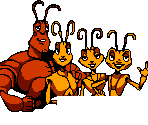 Intro Level Screens - Antz
