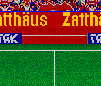 Field - Super Soccer Champ / Hat Trick Hero / Euro Football Champ